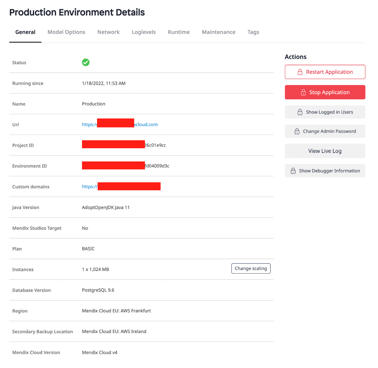 Mendix Basic environment details