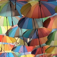 2019 romania bucharest umbrellas